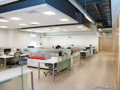 资深HR揭秘 第一份工作怎么选？科技中介服务领域，关键在这三个方向